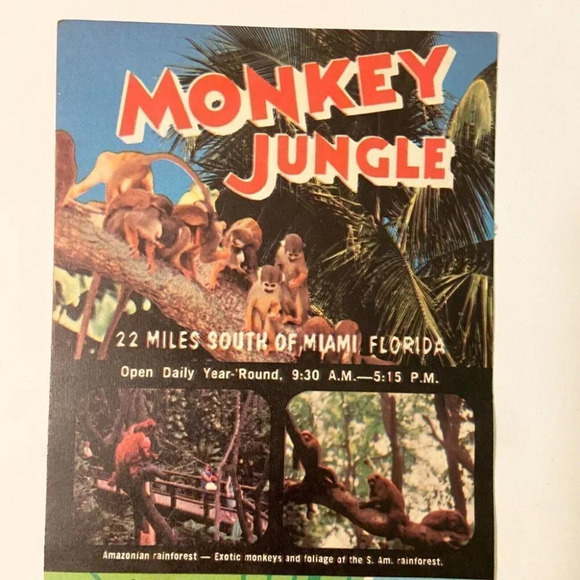 Vintage  1970s Florida Monkey Jungle Miami Travel Brochure Pamphlet Souvenir - Picture 5 of 7